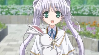 แอนิเมชั่น|Fortune Arterial|ถ้ามีน้องสาวน่ารักอย่างนี้จะดีมากเลย