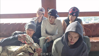 نعل الحذاء يسقط بلا توقف