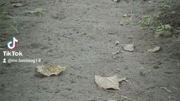 Pumunta ng bundok para Gumawa ng video😁