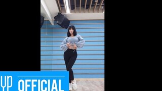 TWICE主舞大人MOMO新曲FANCY竖屏版舞蹈公开