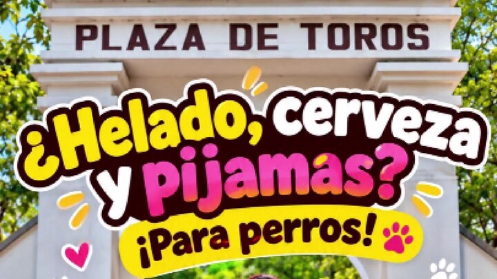 ¿Qué pasa con los toros en Colombia? | إيش استوا بمصارعة الثيران؟