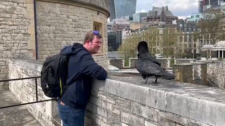 กานี้ดูเหมือนจะมีความรัก