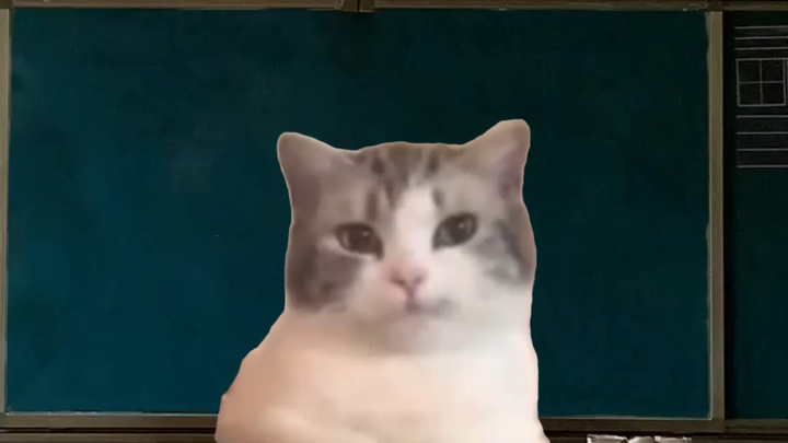 When Post-00s Become Teachers, They Uncover All the Classroom Gossip!