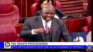 Senator Osotsi Causes Stir in Parliament About Gen Z Holding Governemnt Hostage