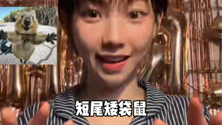 Kebun binatang memang merawat Yoo Jeeminn dengan sangat baik!