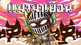 Ragnarok Origin - ตามแมวมา