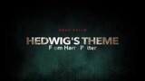 HALLOWEEN 2019 Hedwig's Theme for CELLO and PIANO (COVER)