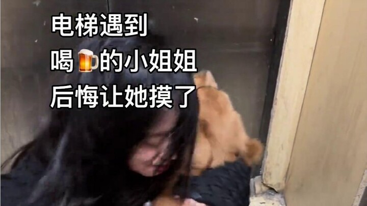The young lady I ran into in the elevator after walking my dog was a bit too enthusiastic!