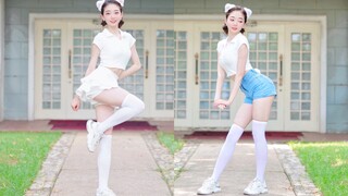 Động cơ điện thỏ ji~ run lên! [màn hình dọc thỏ]