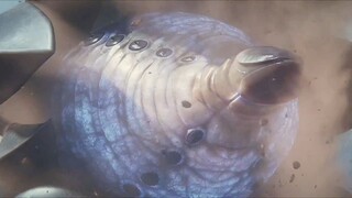 [Movie&TV] The Ultimate Form of Insect Evolution
