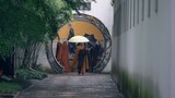 [Short Video]Poetic moments in Suzhou Gardens
