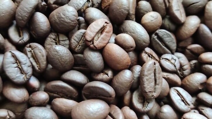 Kopi Luwak Robusta Roasted Bean Discount 50%