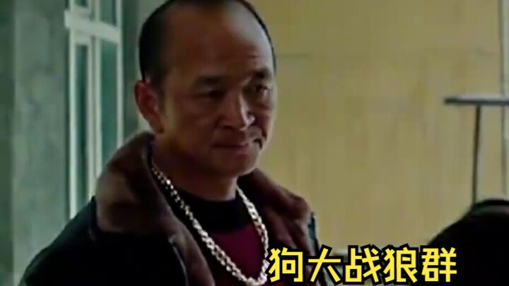 主人遭狼群围攻，狗狗回家搬救兵，叫来全村狗大战狼群