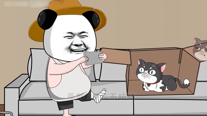 Episode 8: Apakah Anda ingin makanan 888?