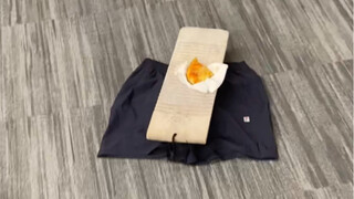 一场披萨引起的惨剧
