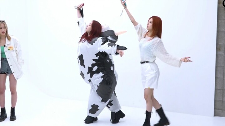 【Lee Chae-ryung】Chú bò sữa Chae-ryung siêu biết nhảy