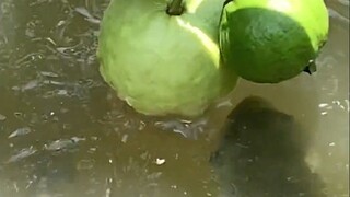 If you get reeled in by a fishing enthusiast at this moment, you're in big trouble!