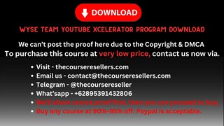 [Thecourseresellers.com] - Wyse Team YouTube Xcelerator Program Download