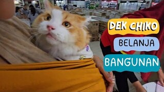 Dek Chiko Belanja Bangunan. funny video, cats, pet, pets, animal, animals, trending, viral, kucing.