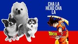 Cha La Head Cha La (Dragon Ball Z) but it's Doggos and Gabe