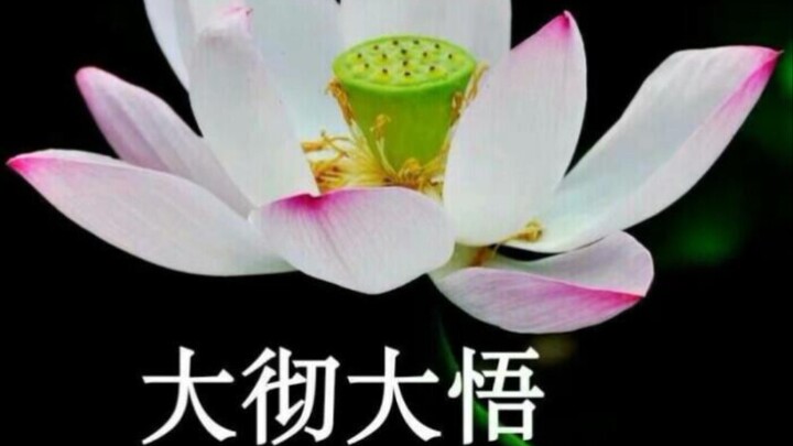 Mengapa Lei Baccarat Hiburan Korea Rendah? (I)