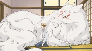 就算夏目看不见妖怪了，猫咪老师也一直守护着他。