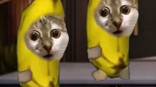 Cinta Membunuh antara Kakak dan Adik ~4