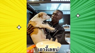 เรื่องตลกสุดฮา : เอางี้เลยบ่
