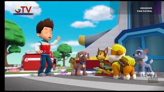 PAW patrol season 4 Episode 5 Bahasa Indonesia Global tv