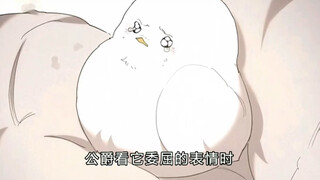 小白鸟被藏在裤裆委屈的不得了