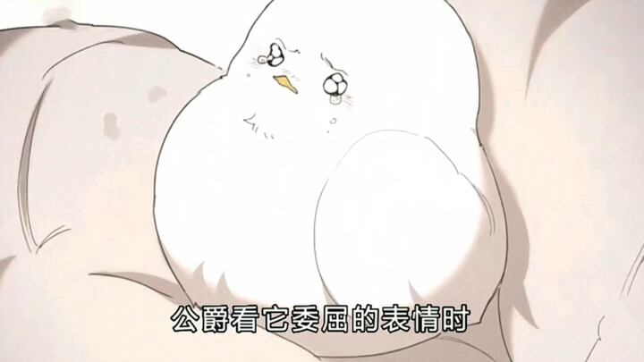 小白鸟被藏在裤裆委屈的不得了