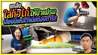 เสียงนี้แหละที่ต้องป๋าต้องการ..พี่แพรใส่ท่อไก่ให้ป๋าเฟรม !!