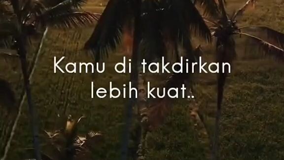 WhatsApp story