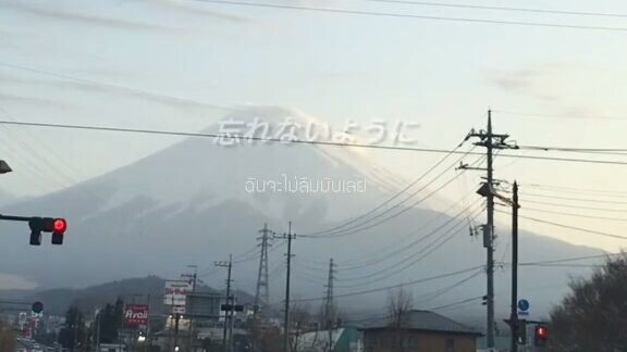 ✧･ﾟ: *✧･ﾟ:*