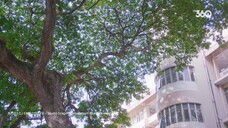 Cảm Ơn Thầy EP 17 [Sub Việt]