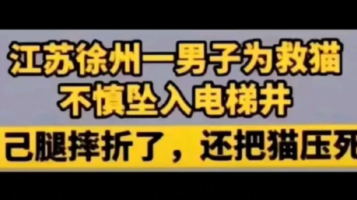 Bro, next time don't save me—Hakimi's been squashed into Hakii!