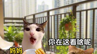 当你家离学校很近时#猫meme小剧场#大学日常#内容过于真实#校园#搞笑#住校生