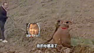 Niu: Nhanh lên và nói Công chúa, xin hãy lên xe