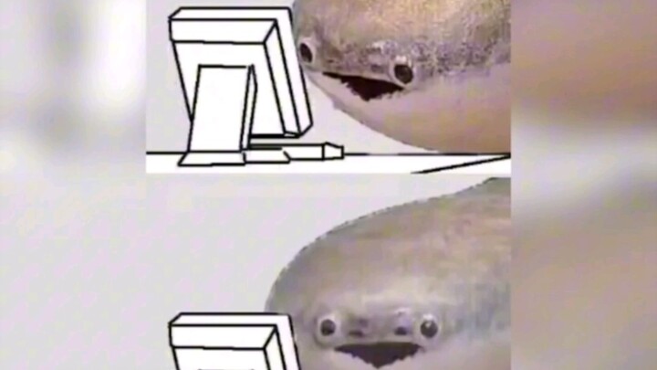 เห็นแล้วใจจะวายเลย #เต่าซาคาแบน #มีม表情包