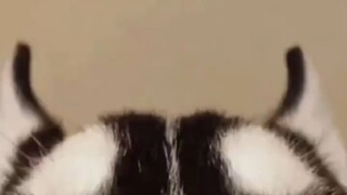 พี่น้องทั้งหลาย ฉันกลายเป็นตัวตลกไปแล้ว ยืมฉันสัก 100 หยวน เดี๋ยวพรุ่งนี้คืนให้