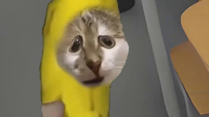 [Collaboration] Juice Cat x Jiangju Cat: "Not necessarily a story with zero points"