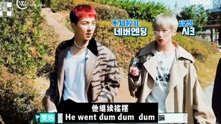 【WINNER】Xiao Na's version of the shoulder-shaking dance coincidence