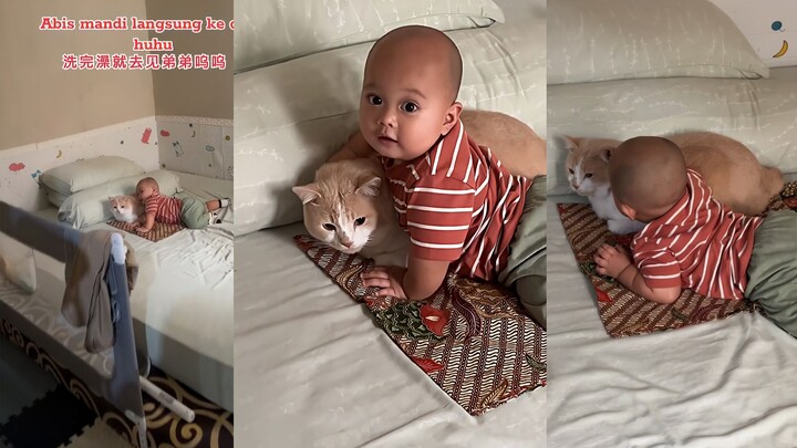 Chú mèo và em bé không thể tách rời nhau