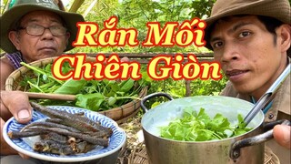 Đi Câu Rắn Rắn Mối Đem Về Chiên Giòn & Nồi Cháo Gừng Nóng Hổi Thơm Lừng Bữa Trưa Cùng Ông 6 Cô Đơn