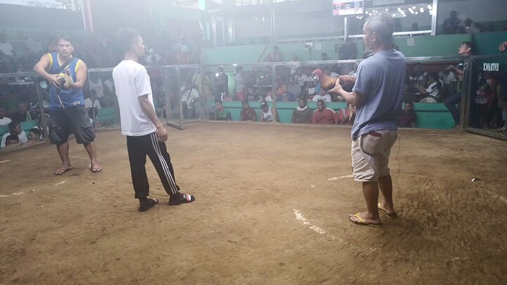 RDG LITTLE KING Boston sweater  Para champion