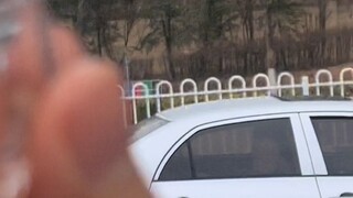 算了你肯定觉得没意思