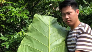 A craft that has moved millions to tears upon watching