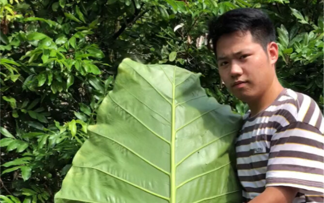 A craft that has moved millions to tears upon watching