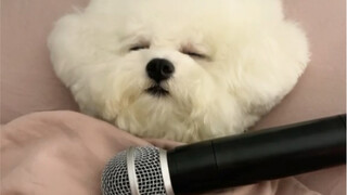 I'll never sleep with it again!