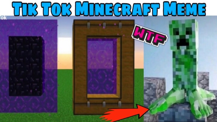 #104 Tik Tok Minecraft - Những Hình Ảnh Khiến Người Chơi Minecraft Phải Đau Đầu !!